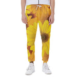 Yellow Daisy Flower Print Scuba Joggers