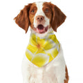 Yellow Frangipani Pattern Print Dog Bandana