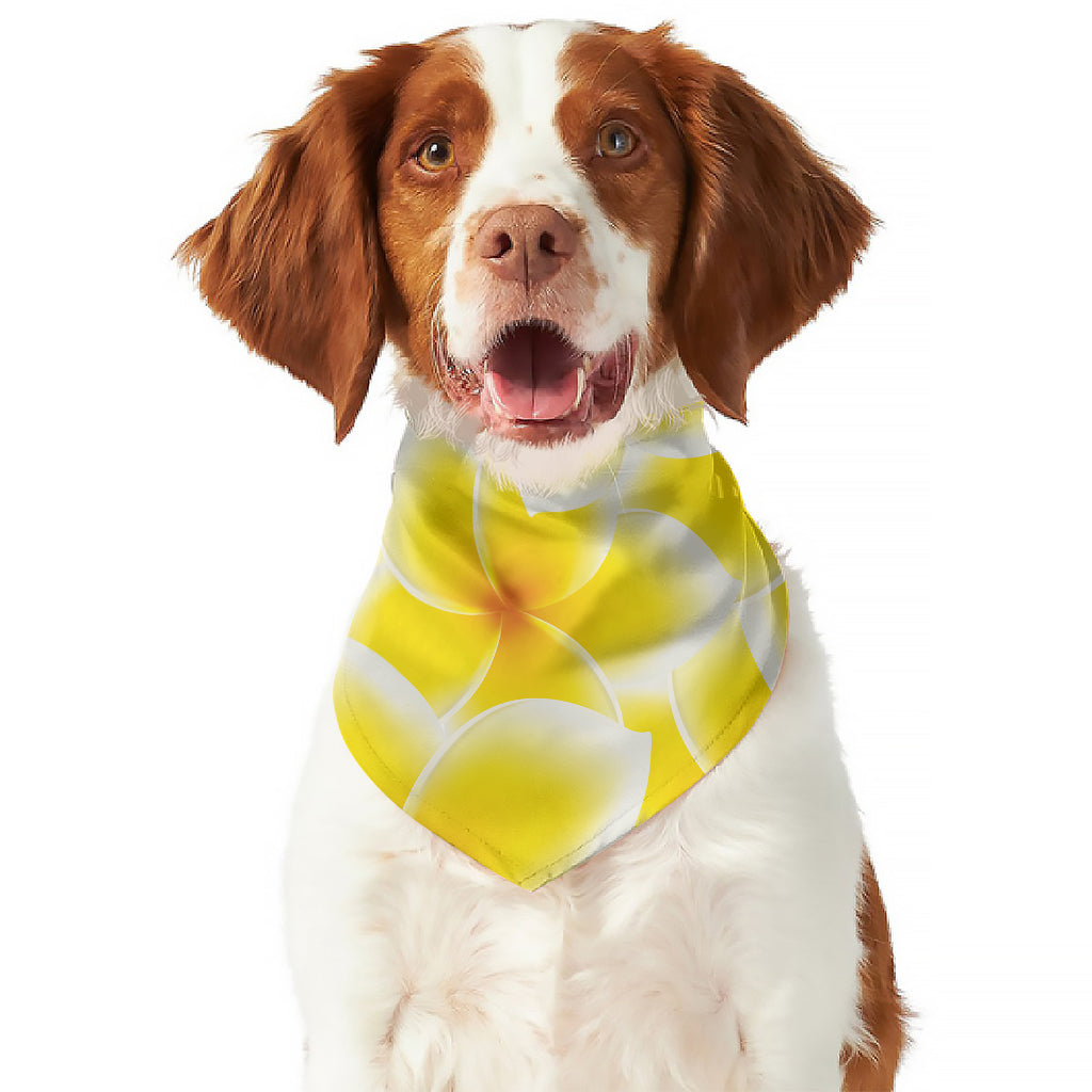 Yellow Frangipani Pattern Print Dog Bandana