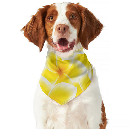 Yellow Frangipani Pattern Print Dog Bandana