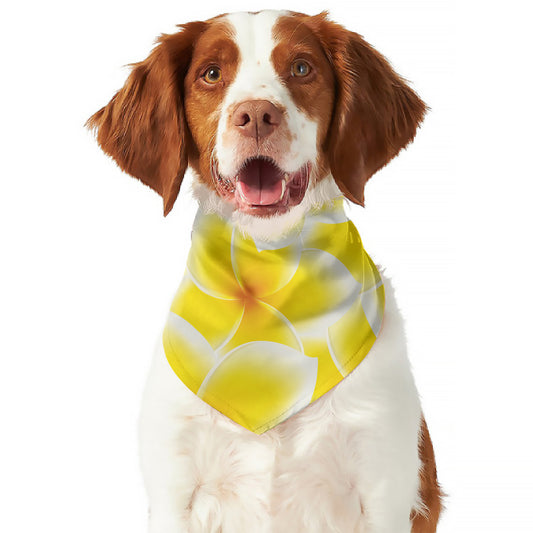 Yellow Frangipani Pattern Print Dog Bandana