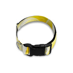 Yellow Frangipani Pattern Print Dog Collar