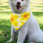 Yellow Frangipani Pattern Print Over The Collar Dog Bandana