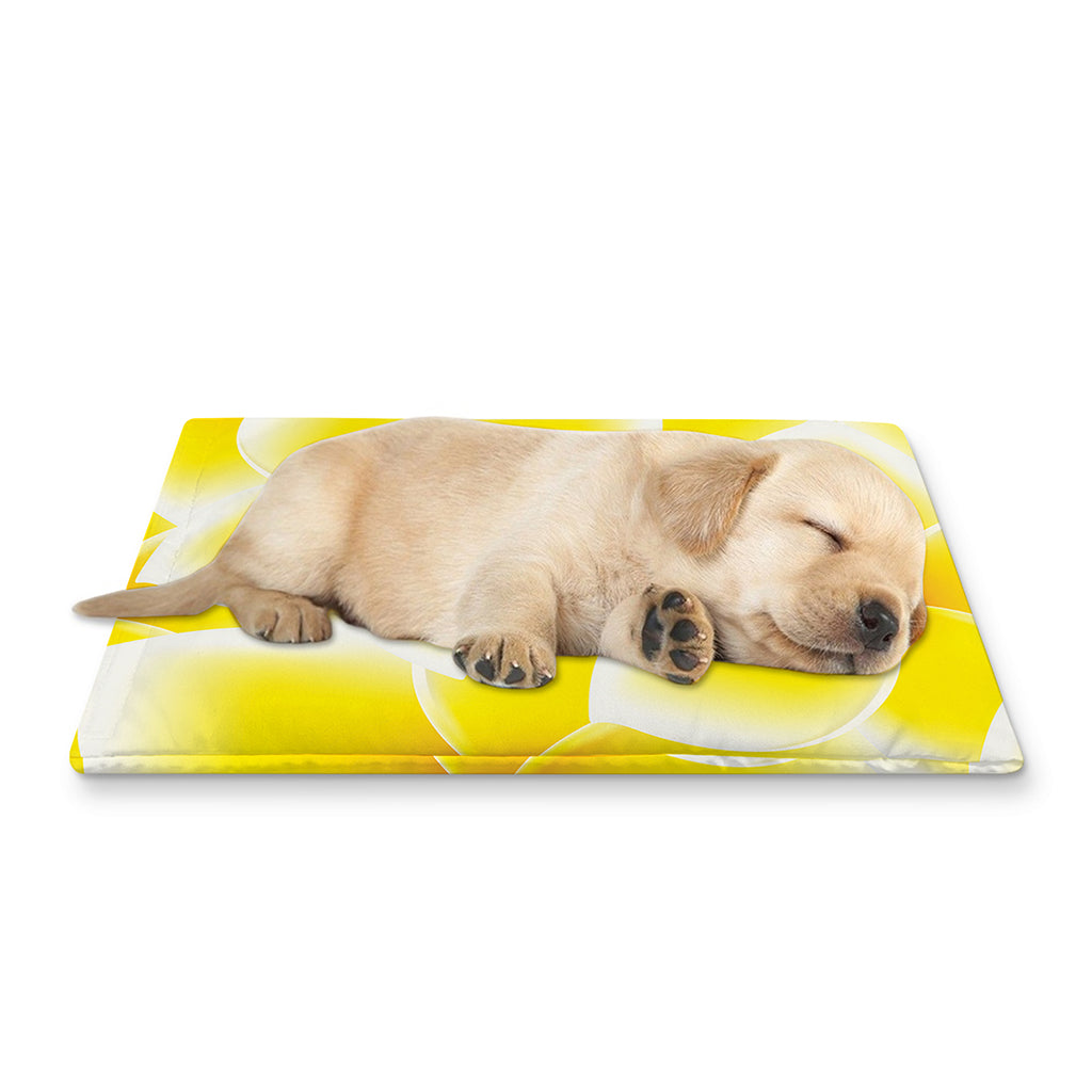 Yellow Frangipani Pattern Print Pet Cooling Mat Cover