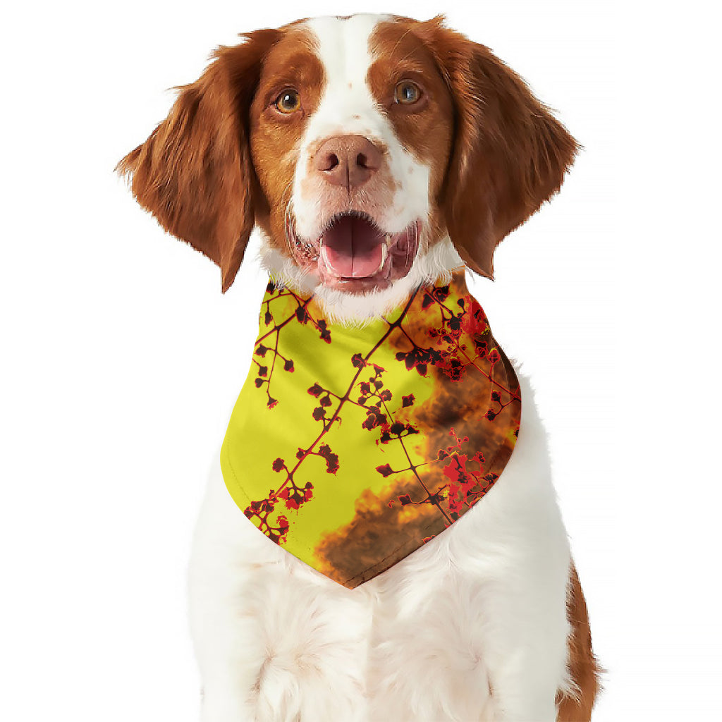 Yellow Full Moon Print Dog Bandana