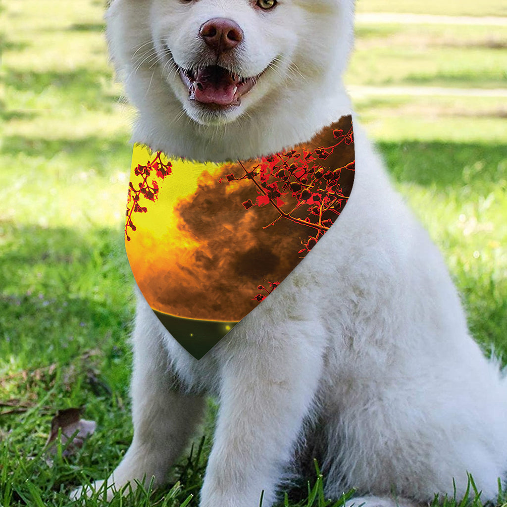 Yellow Full Moon Print Over The Collar Dog Bandana