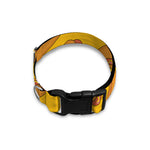Yellow Hot Dog Pattern Print Dog Collar