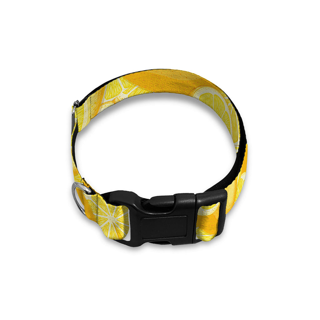 Yellow Lemon Pattern Print Dog Collar