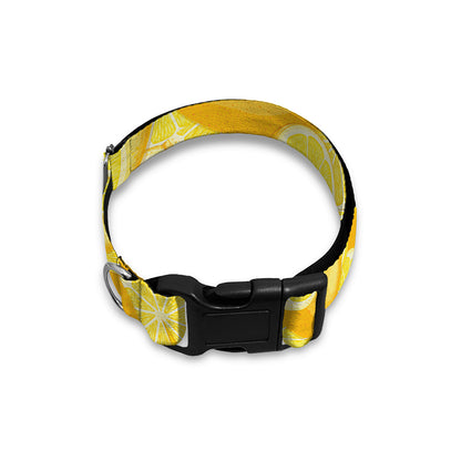 Yellow Lemon Pattern Print Dog Collar