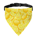 Yellow Lemon Pattern Print Over The Collar Dog Bandana