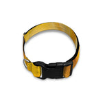 Yellow Pineapple Pieces Print Dog Collar