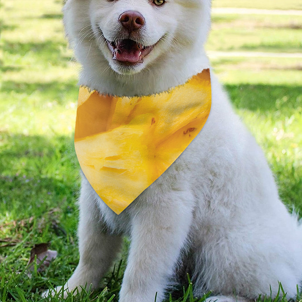 Yellow Pineapple Pieces Print Over The Collar Dog Bandana