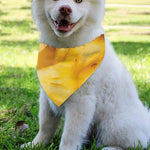 Yellow Pineapple Pieces Print Over The Collar Dog Bandana