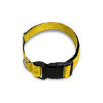 Yellow Plastic Building Blocks Print Dog Collar