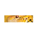 Yellow Python Snake Print Bed Runner