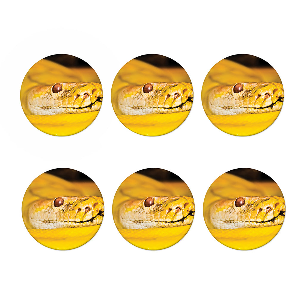 Yellow Python Snake Print Coaster Set
