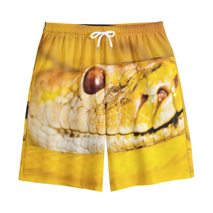 Yellow Python Snake Print Cotton Shorts