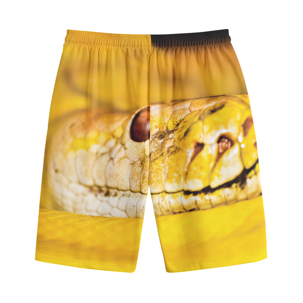 Yellow Python Snake Print Cotton Shorts