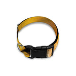 Yellow Python Snake Print Dog Collar