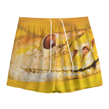 Yellow Python Snake Print Mesh Shorts