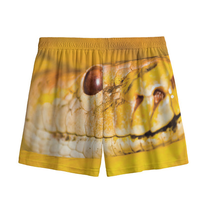 Yellow Python Snake Print Mesh Shorts