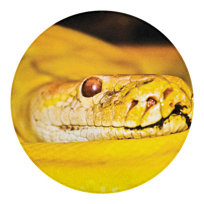Yellow Python Snake Print Round Blanket