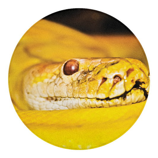 Yellow Python Snake Print Round Blanket