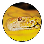 Yellow Python Snake Print Round Floor Mat