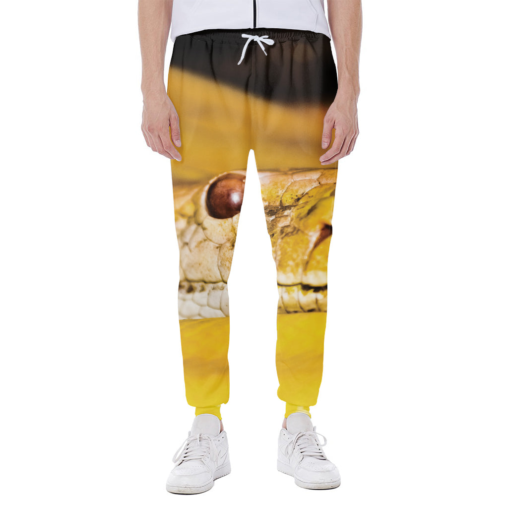 Yellow Python Snake Print Scuba Joggers