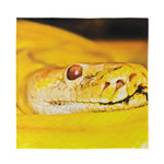 Yellow Python Snake Print Silk Bandana