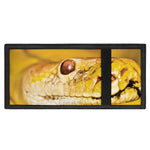 Yellow Python Snake Print Trifold Wallet