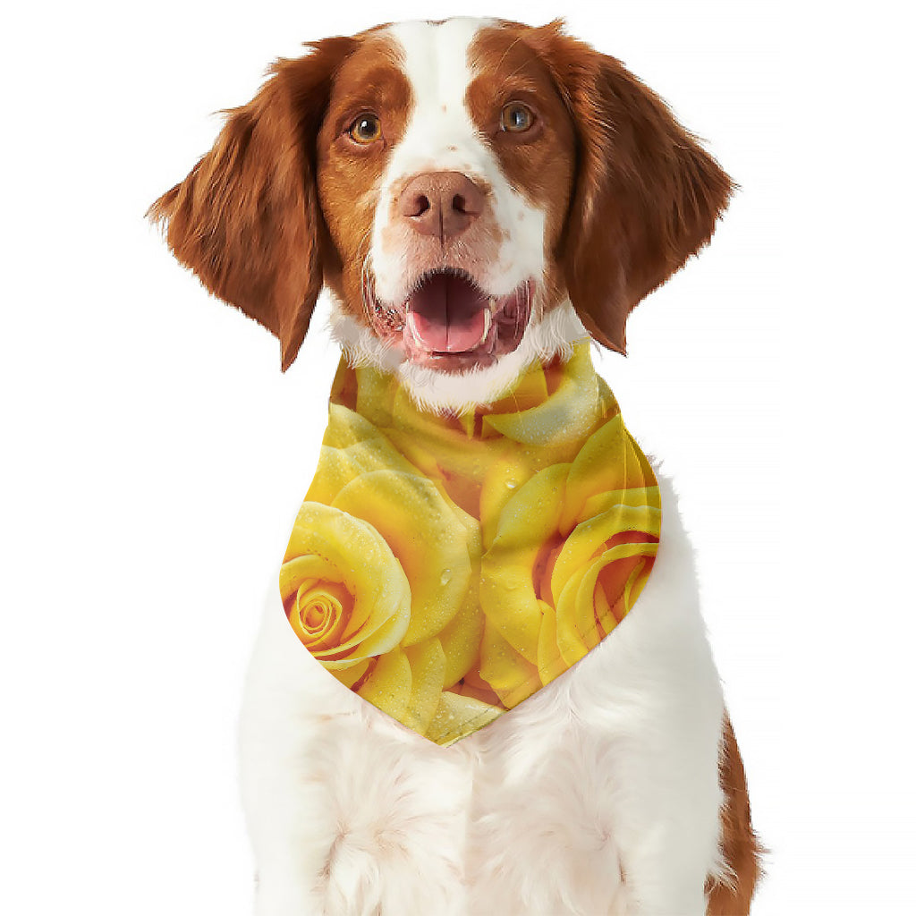 Yellow Rose Print Dog Bandana