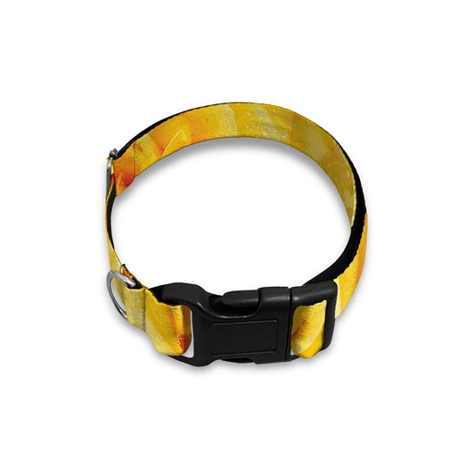 Yellow Rose Print Dog Collar