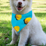 Yellow Rubber Ducks Print Over The Collar Dog Bandana