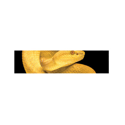 Yellow Snake Print Bed Runner