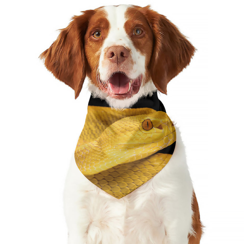 Yellow Snake Print Dog Bandana