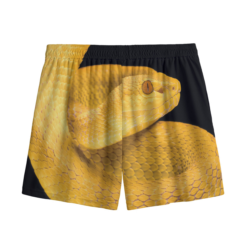 Yellow Snake Print Mesh Shorts