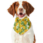 Yellow Spring Tulip Pattern Print Dog Bandana