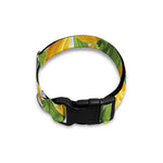 Yellow Spring Tulip Pattern Print Dog Collar