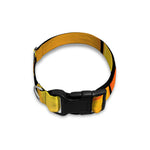 Yellow Stained Glass Mosaic Print Dog Collar