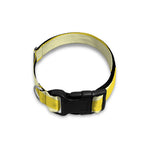 Yellow Striped Pattern Print Dog Collar