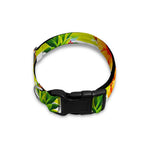 Yellow Striped Pineapple Pattern Print Dog Collar