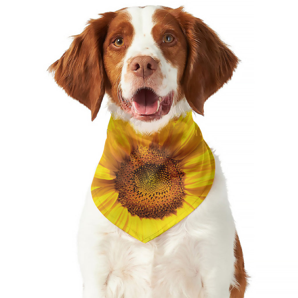 Yellow Sunflower Print Dog Bandana