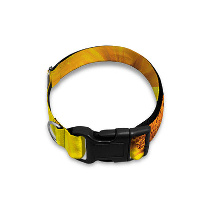 Yellow Sunflower Print Dog Collar