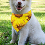 Yellow Sunflower Print Over The Collar Dog Bandana