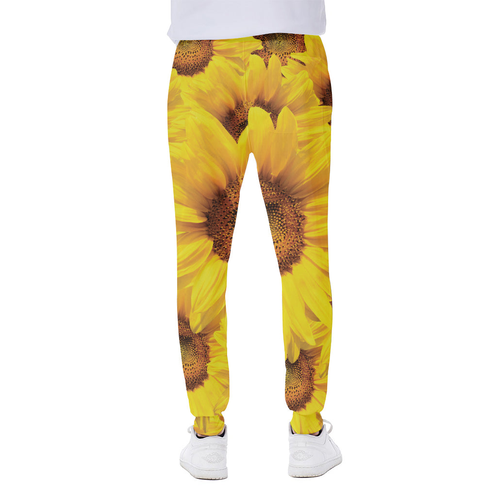 Yellow Sunflower Print Scuba Joggers