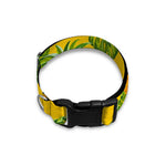 Yellow Tropical Pineapple Pattern Print Dog Collar