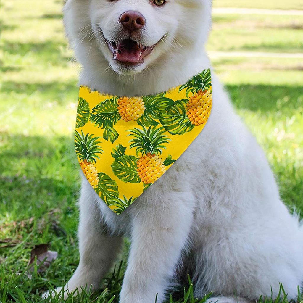 Yellow Tropical Pineapple Pattern Print Over The Collar Dog Bandana