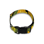 Yellow Tulip Pattern Print Dog Collar