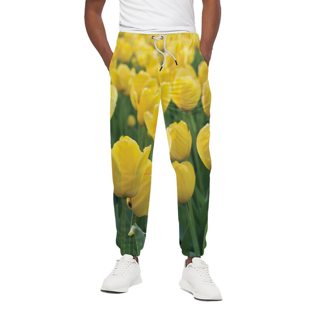Yellow Tulip Print Cotton Pants